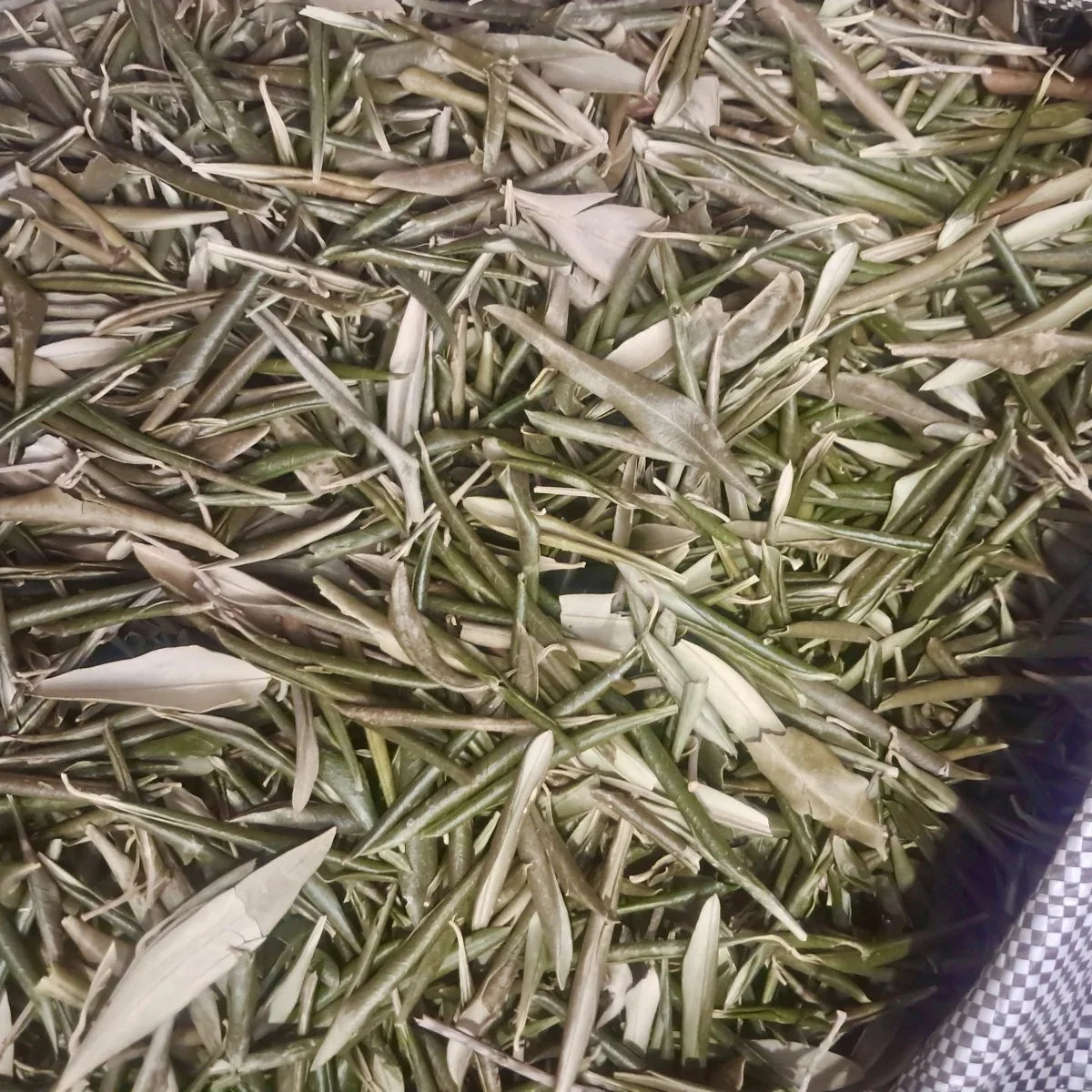 Oliven blade, 30 g, økologisk