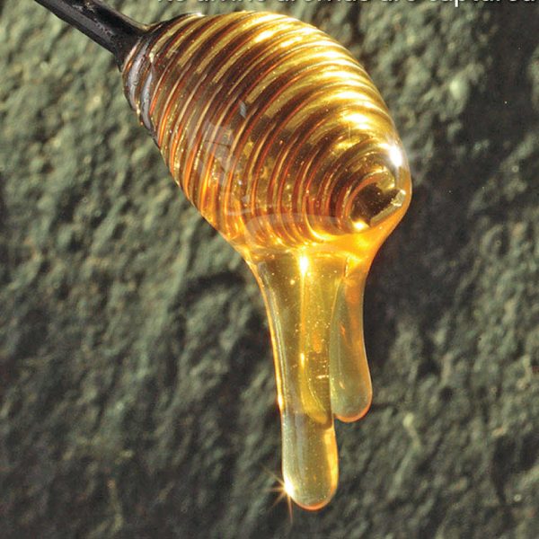 Salvie honning, økologisk